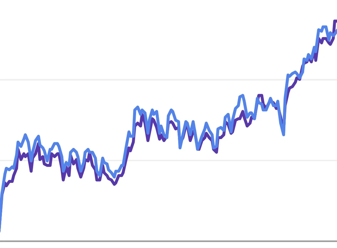 google search trend