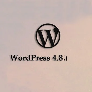 new wordpress 4.8.1