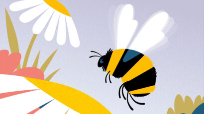 افزونه ضد هرزنامه وردپرس Antispam Bee