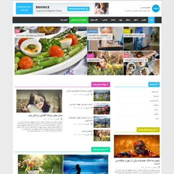 قالب وردپرس Envince فارسی