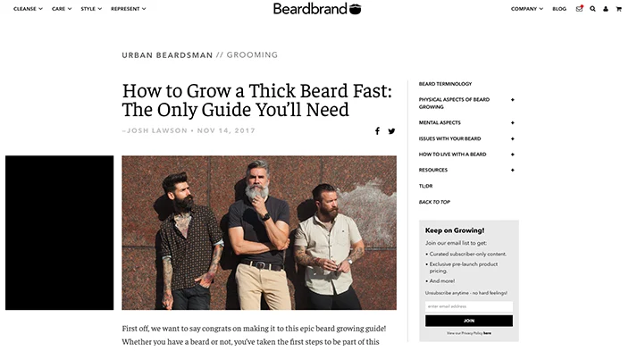  وب‌‌سایت Beardbrand 