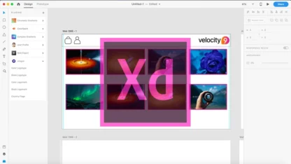 آموزش نرم افزار Adobe XD بصورت مقدماتی