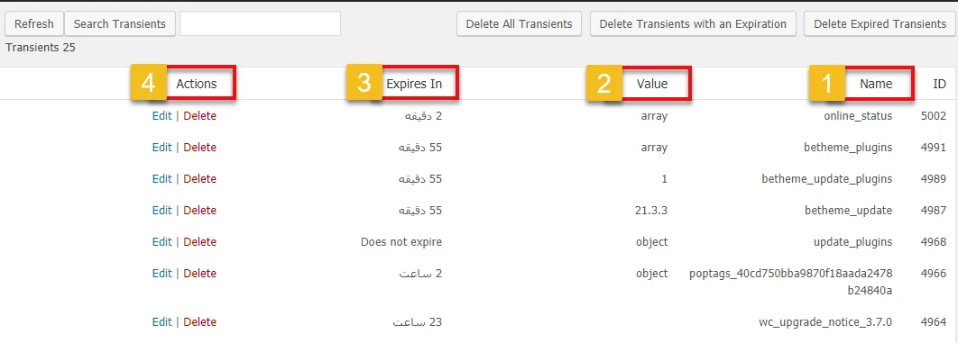 لیست Transients 