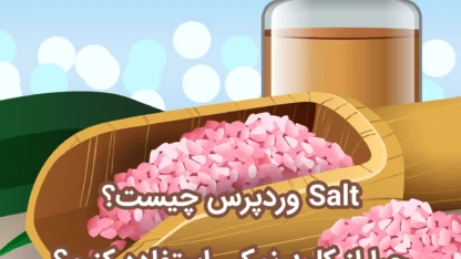 Salt وردپرس چیست؟ چرا از کلید نمک استفاده کنیم؟