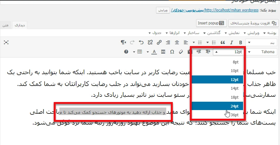 تغییر اندازه قسمتی خاص از متن