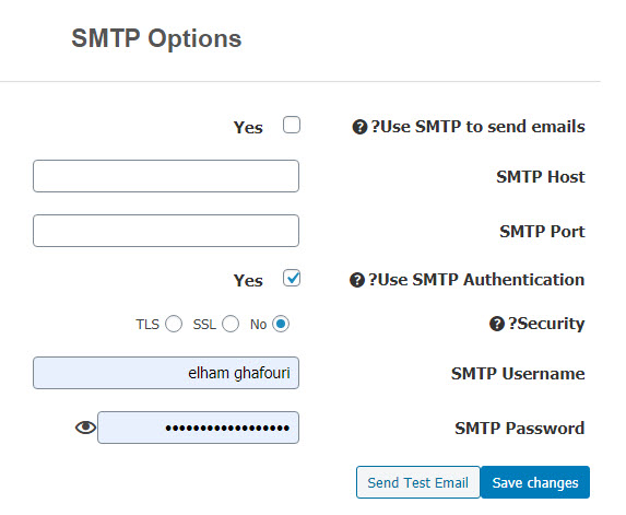 PirateForms SMTP Options