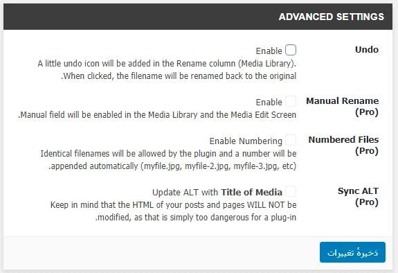 قسمت ADVANCED SETTINGS در افزونه Media File Renamer