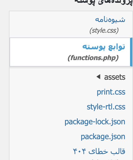 انتخاب فایل functions.php