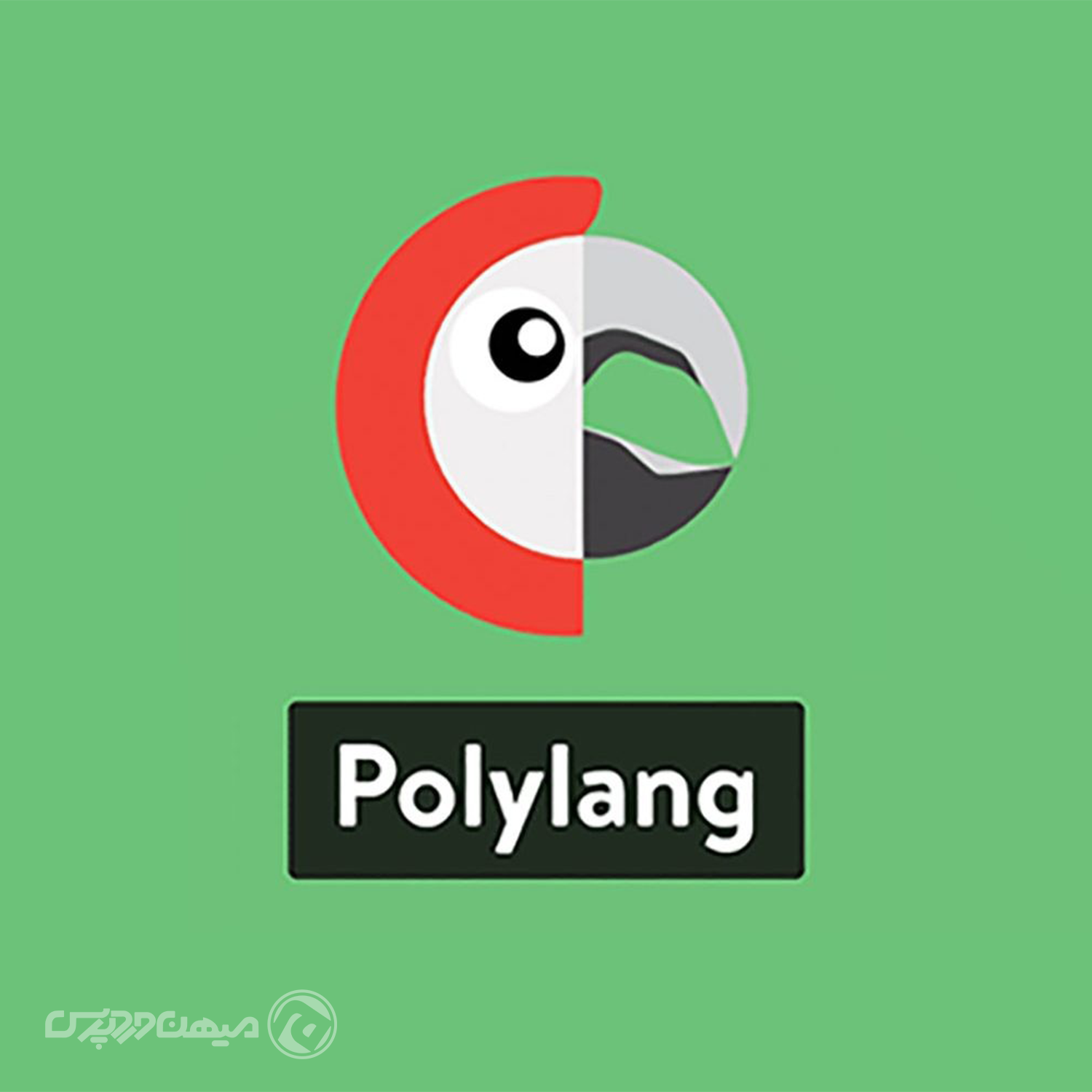 چند زبانه كردن سايت وردپرس با افزونه رایگان Polylang
