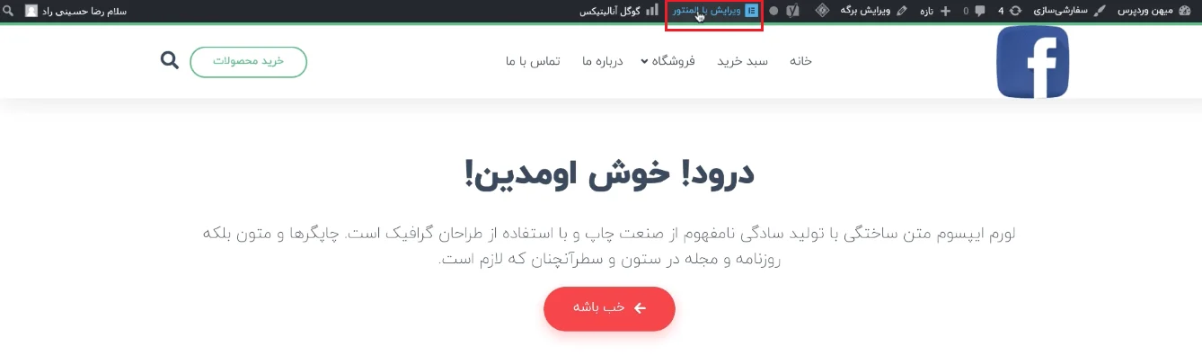 ویرایش صفحات سایت با المنتور