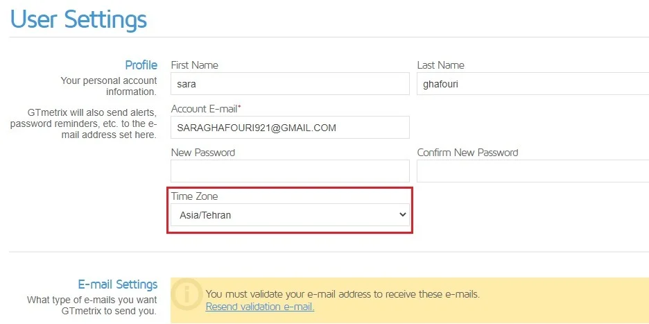 بخش تنظیمات کاربر در GTMetrix