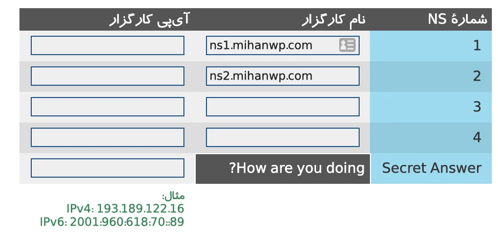 تنظیم DNS دامنه