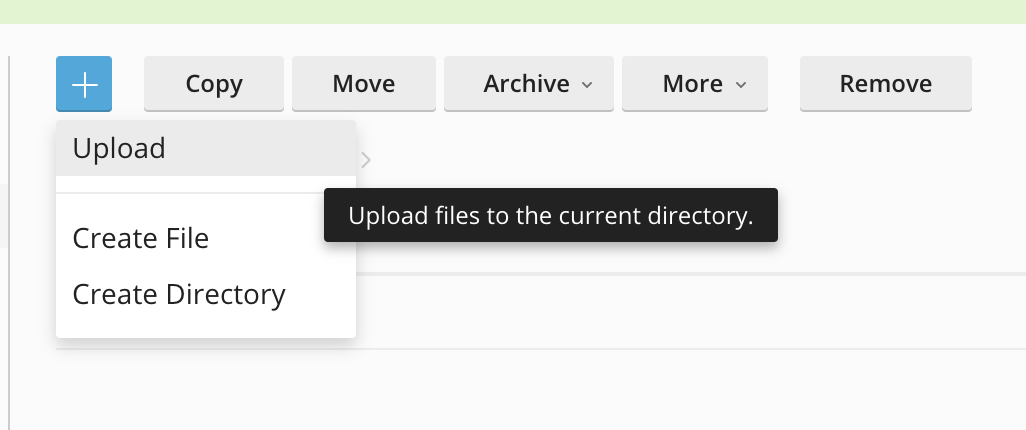 Upload files in Plesk