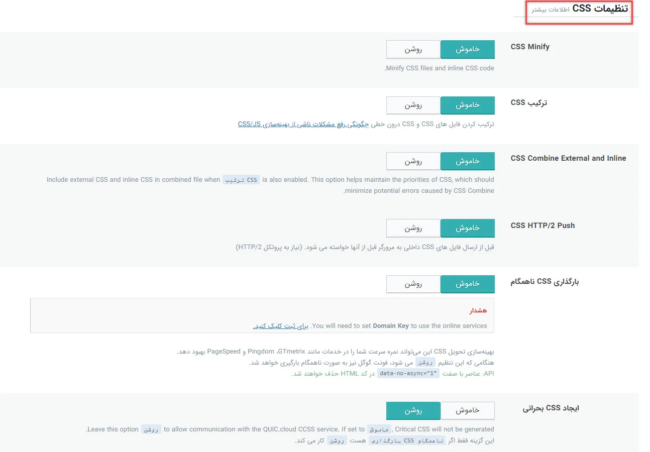 تنظیمات CSS افزونه Lite Speed Cache