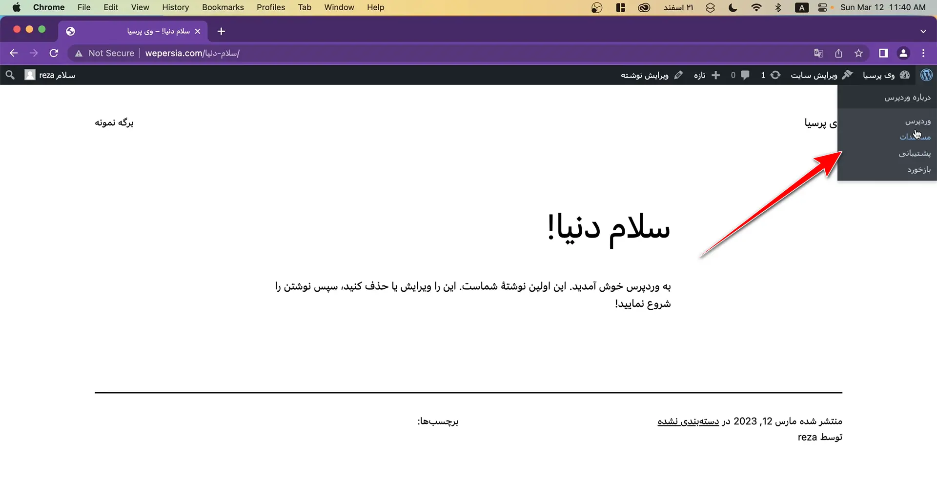 اطلاعات وردپرس