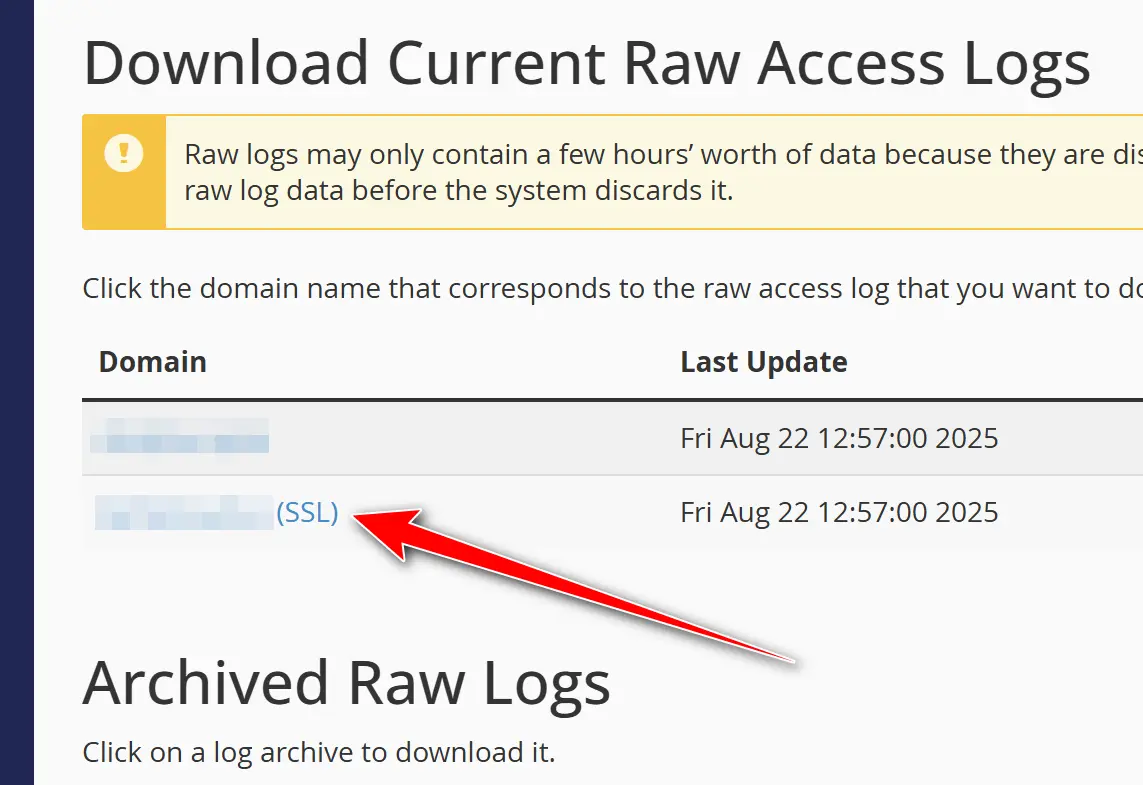 Raw Access Logs