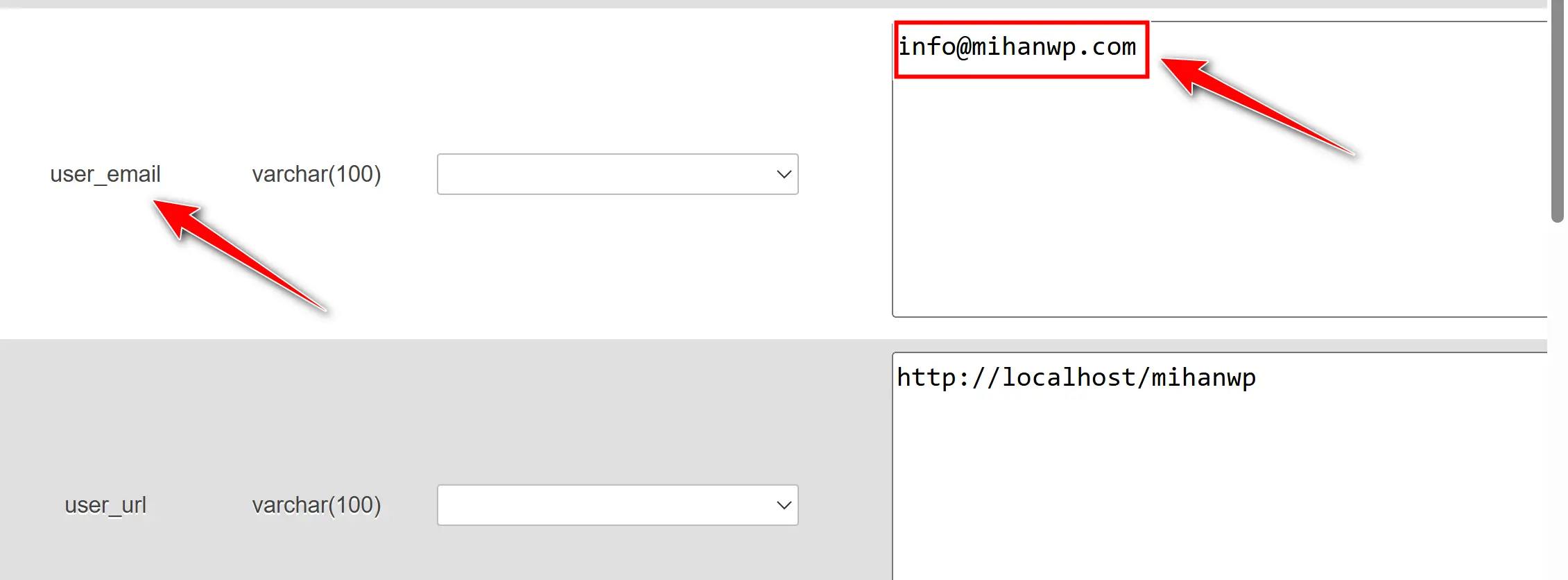 تغییر ایمیل مدیریت وردپرس از طریق پیشخوان یا پنل هاست user_email