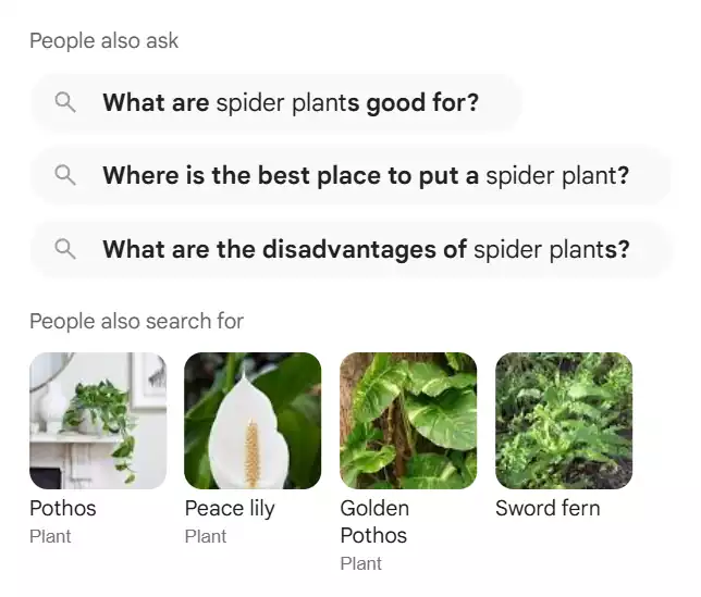 People Also Ask