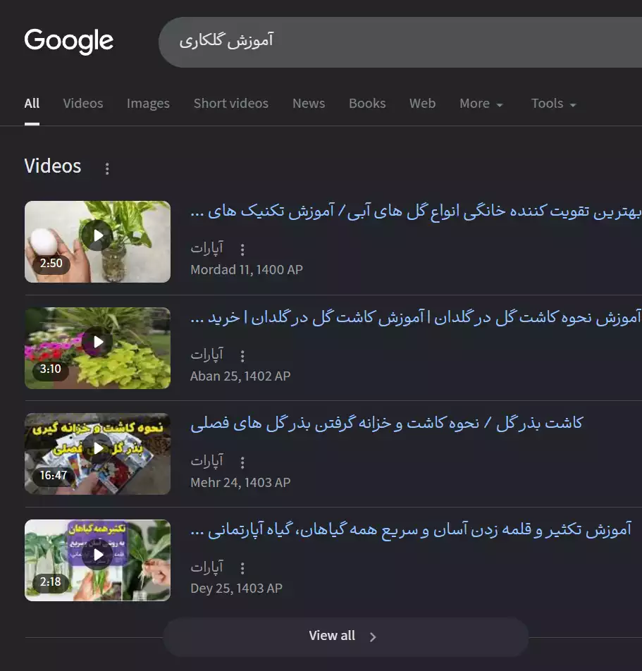 Video Results (نتایج ویدئویی)