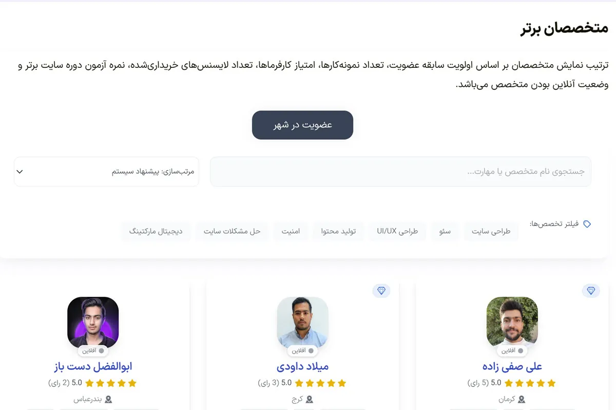 شهر متخصصان برتر میهن وردپرس برای برون سپاری طراحی سایت