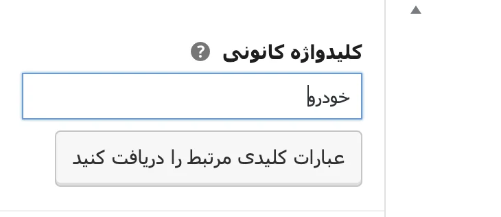 کلمه کلیدی اصلی در یوست سئو
