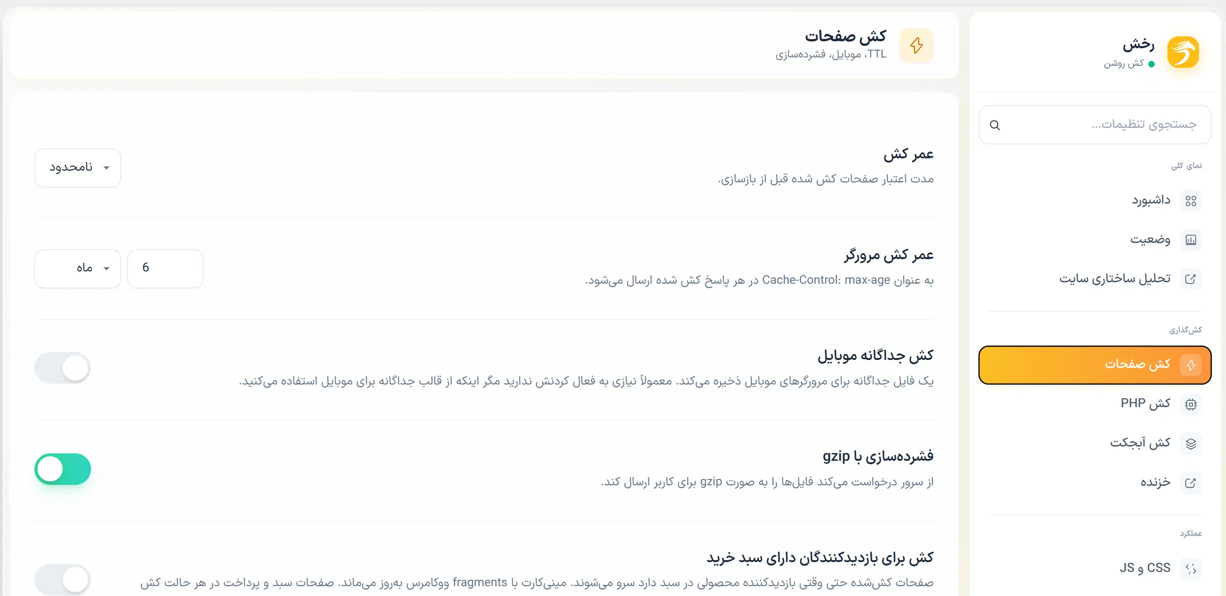 کش صفحات در افزونه رخش