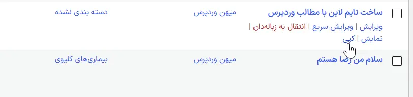 کپی کردن برگه‌ها در وردپرس