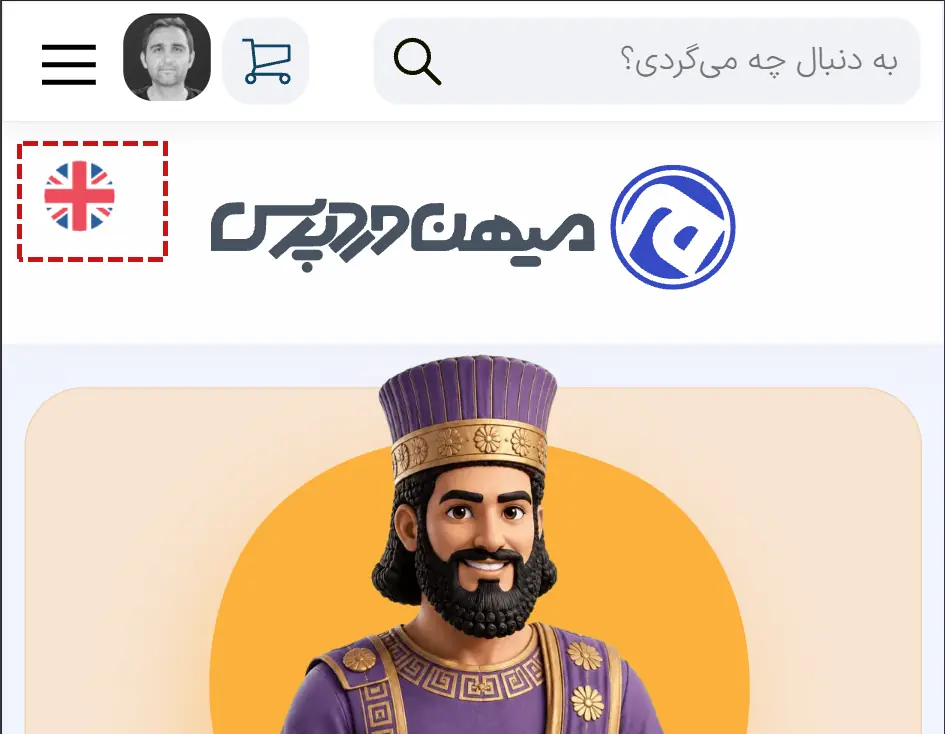 انتخابگر زبان سایت
