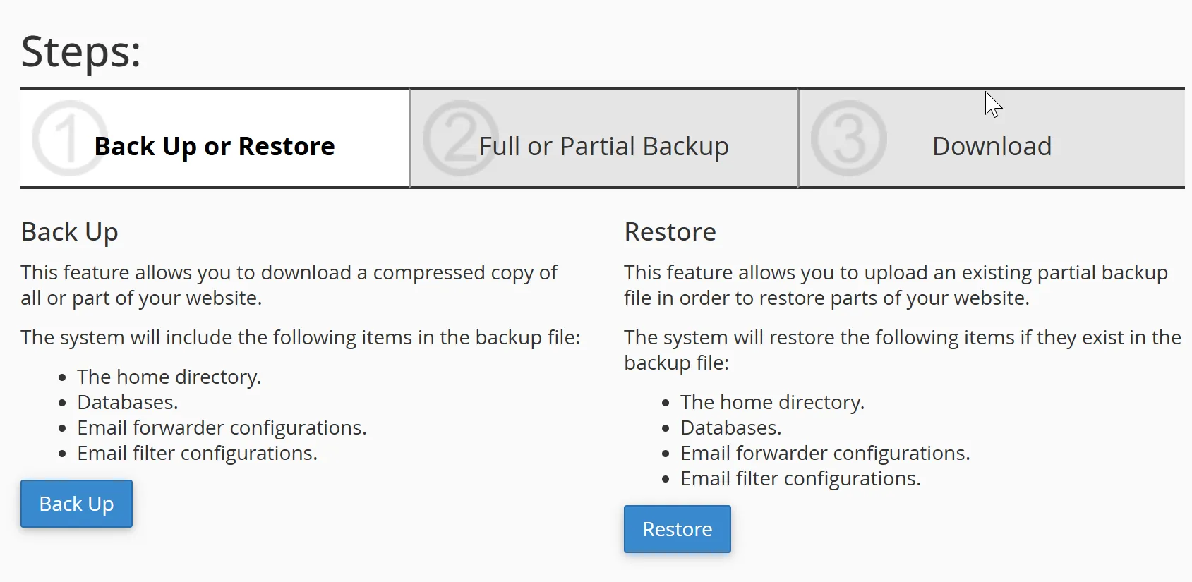 نمای کلی backup wizard در سی پنل
