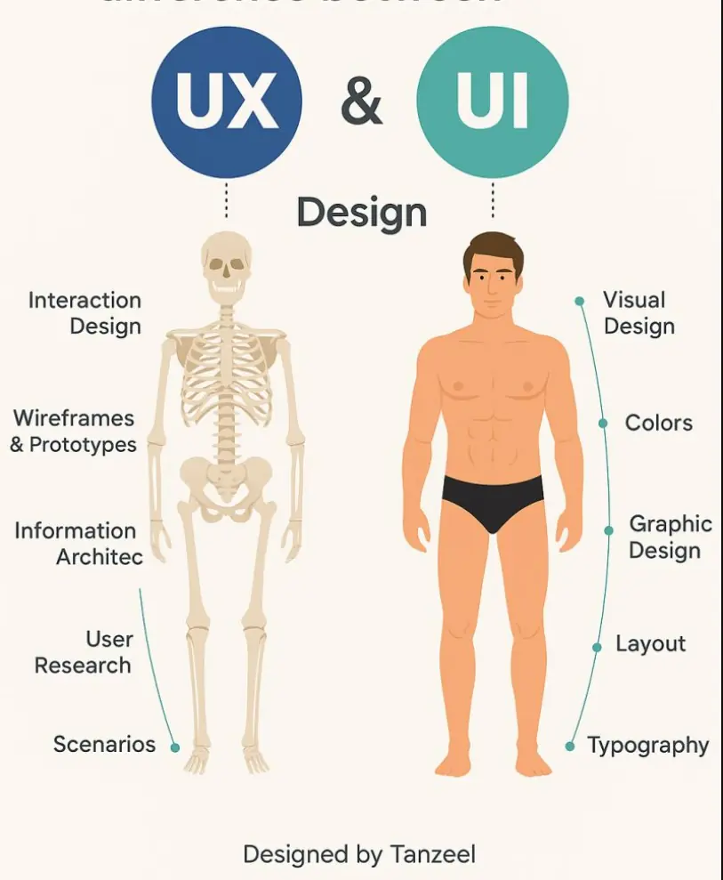 تفاوت UI و UX چیست؟ مقایسه رابط کاربری و تجربه کاربری