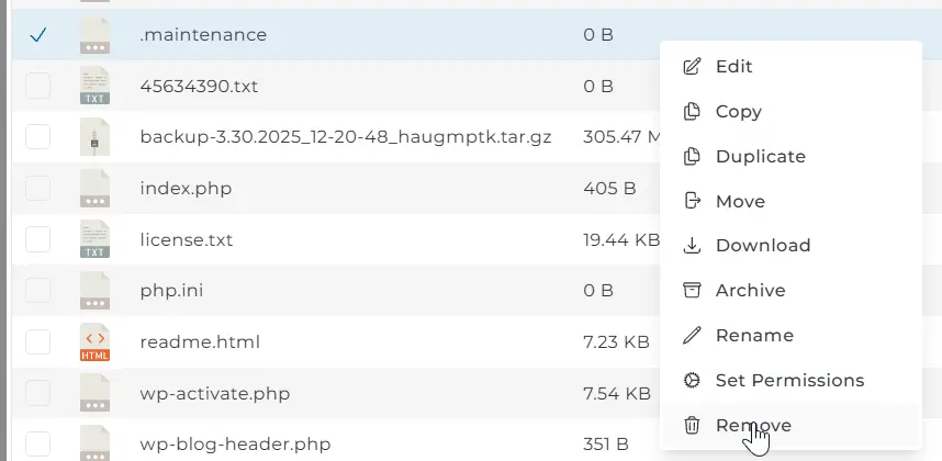 حذف فایل maintenance