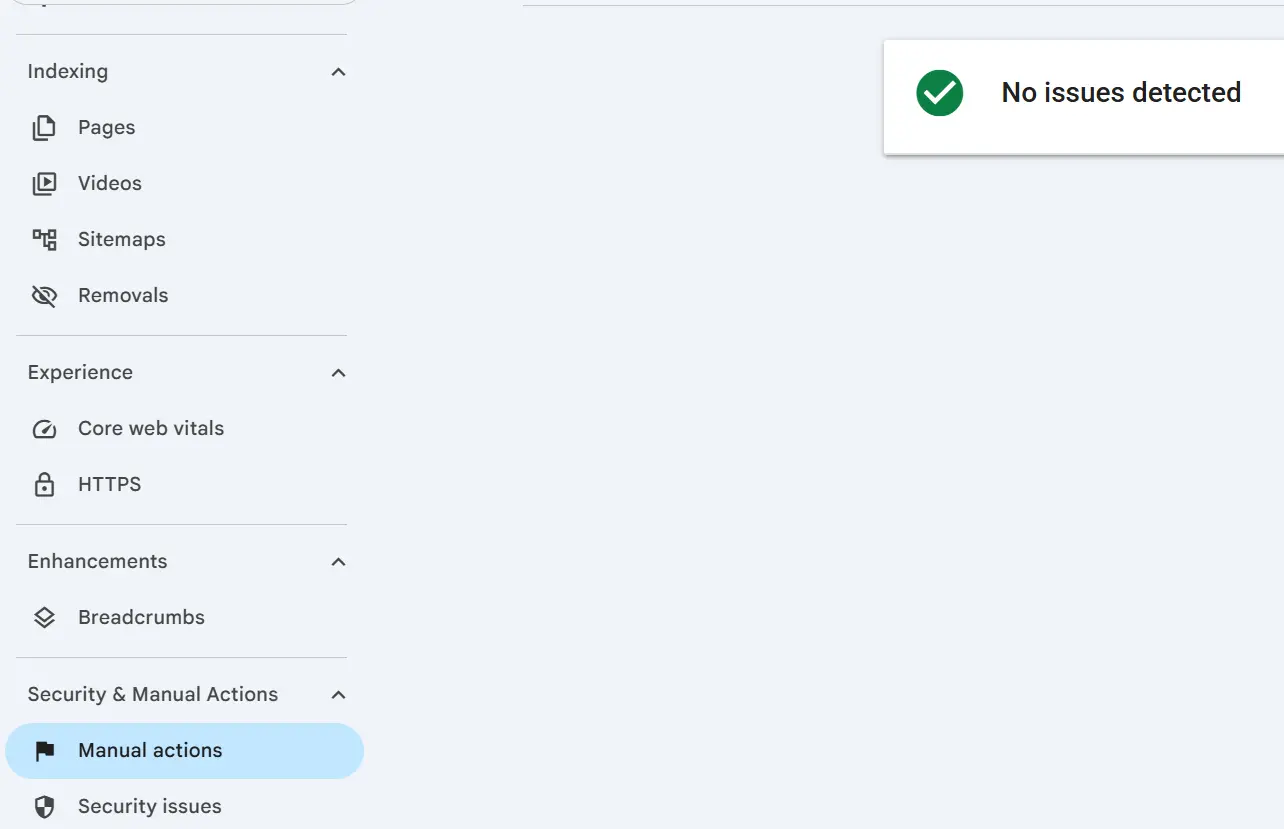 ابزار Manual Actions سرچ کنسول