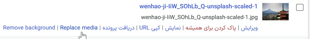 گزینه جایگزین کردن فایل در وردپرس